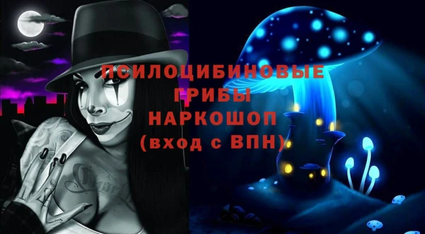 дурь Алзамай