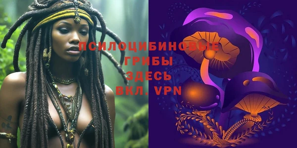 дурь Алзамай