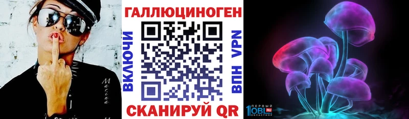 Галлюциногенные грибы Psilocybine cubensis  дарнет шоп  Салехард 